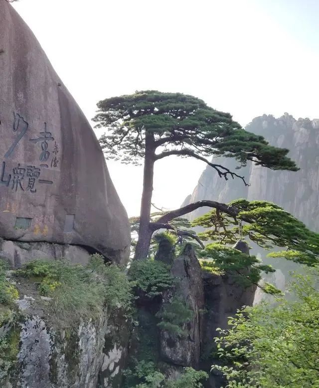黄山旅游住宿攻略